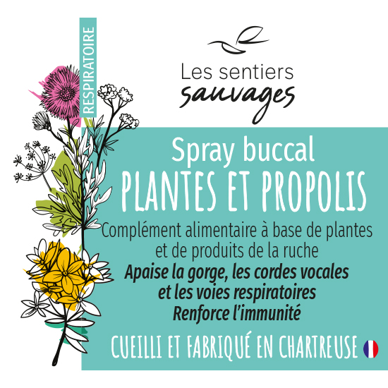 Spray buccal, plantes et propolis – Les sentiers sauvages