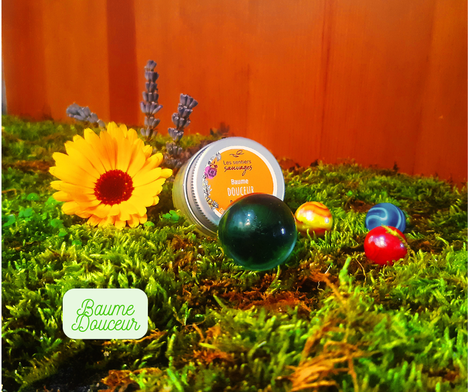 Coffret Enfant – Image 2