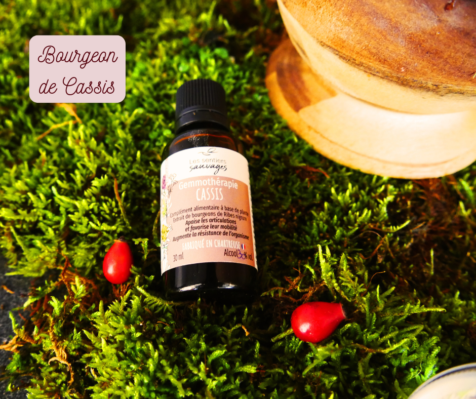 Coffret Articulations – Image 3