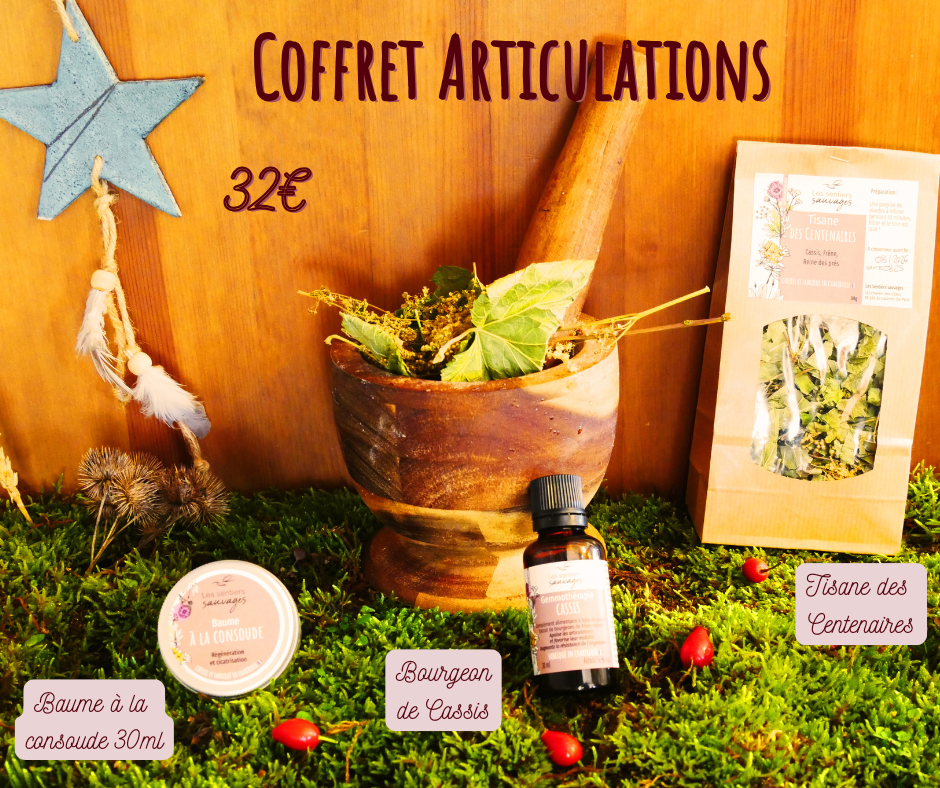 Coffret Articulations