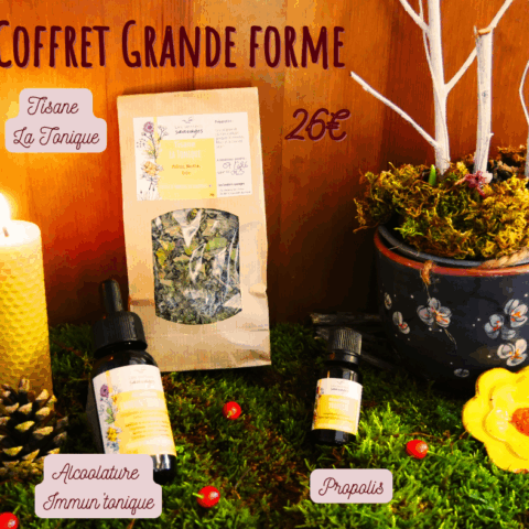 Coffret Grande forme
