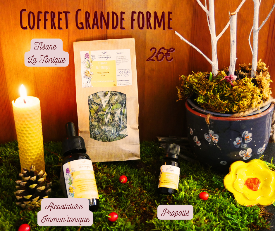 Coffret Grande forme