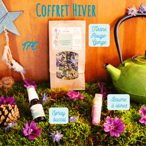 Coffret Hiver