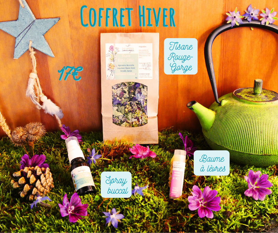 Coffret Hiver