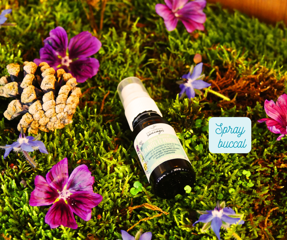 Coffret Hiver – Image 2