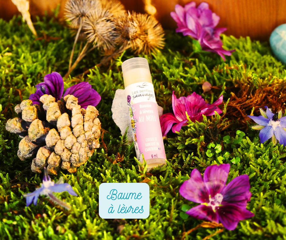 Coffret Hiver – Image 3