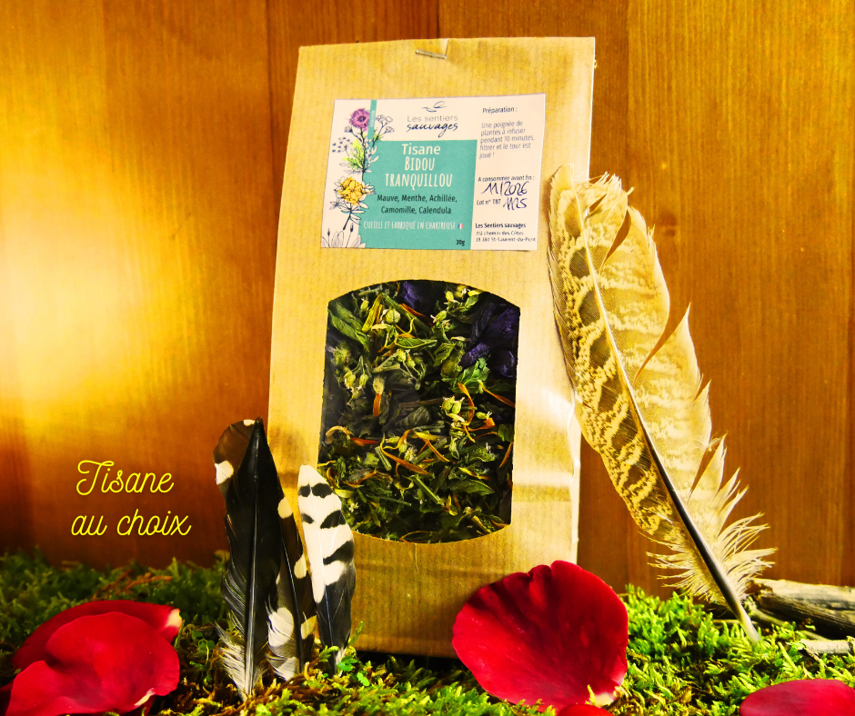 Coffret Cocoon – Image 3